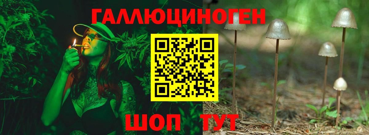 Меф МЯУ МЯУ  Саратов  A PVP СК   Кокаин  ГАШ  Вход с VPN  Меф   ГАШИШ 