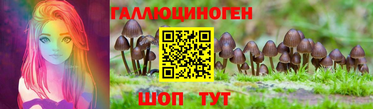 Псилоцибиновые грибы Magic Shrooms  Вход с VPN  продажа наркотиков  Саратов  Галлюциногенные грибы MAGIC MUSHROOMS 